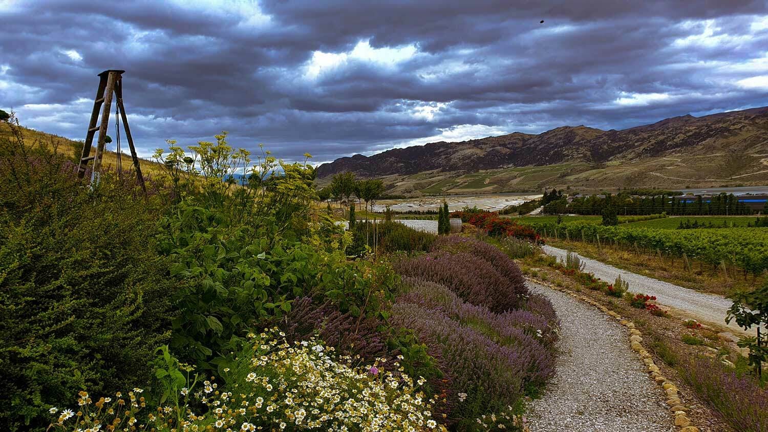 DT Cellar door Path29